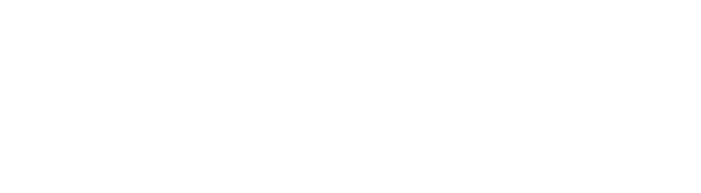 speedpitbike website logo